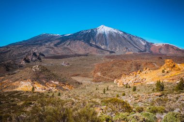 Teide Milli Parkı Tenerife Kanarya
