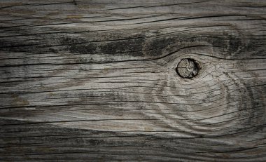 Ahşap doku. arkaplan eski panelleri