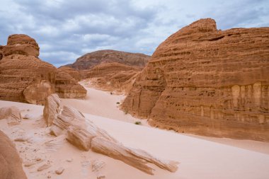 Sina Çölündeki Dağ Mısır