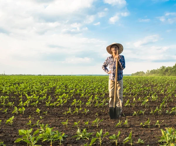 Pequeño granjero feliz con pala en campo de primavera —  Fotos de Stock