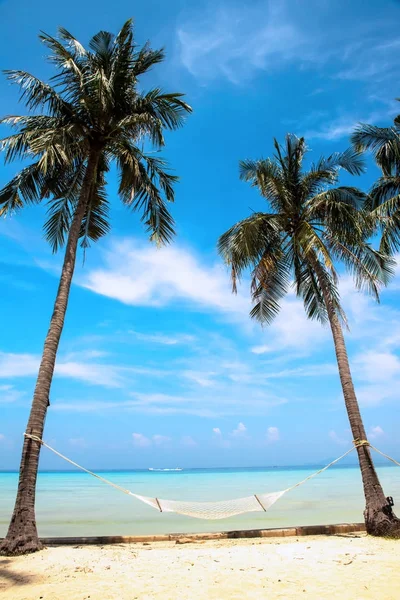 Palm i tropikalnej plaży Phi phi island, Tajlandia — Zdjęcie stockowe