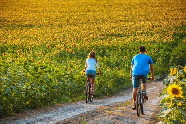 ティーン カップルひまわり畑で自転車に乗る — ストック写真