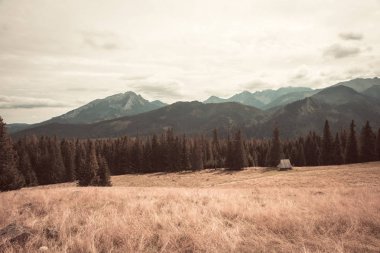Zakopane 'deki Tatra Dağları Ulusal Parkı