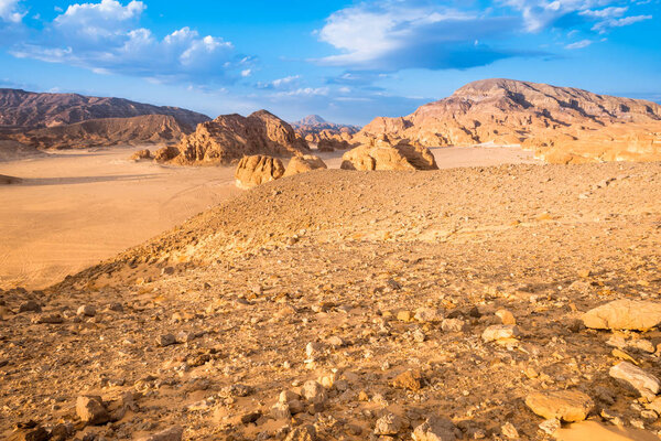 Gold arid desert landscape Sinai, Egypt