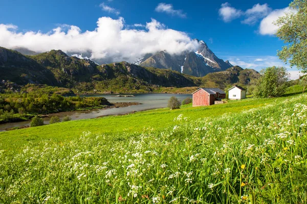 Schilderachtige fjord Lofoten eilanden typische visserij hut — Stockfoto