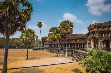 angkor wat tapınağı, siem hasadı, Kamboçya