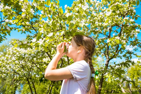 Mädchen schnuppert blühende Apfelblüten im Obstgarten — Stockfoto