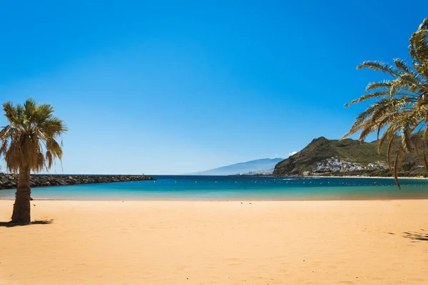 Palmy Playa las Teresitas Plaża, Teneryfa — Zdjęcie stockowe