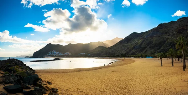 Palmy Playa de las Teresitas Plaża, Teneryfa — Zdjęcie stockowe