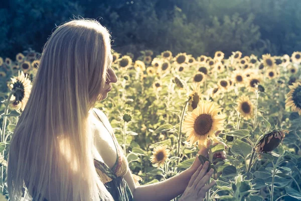 Beauty sunlit woman on yellow sunflower field Freedom and happiness concept — Stock Photo, Image