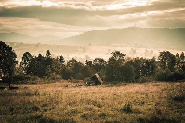 Ruhiges Konzept: Land Wiese Sonnenaufgang Hintergrund. — Stockfoto