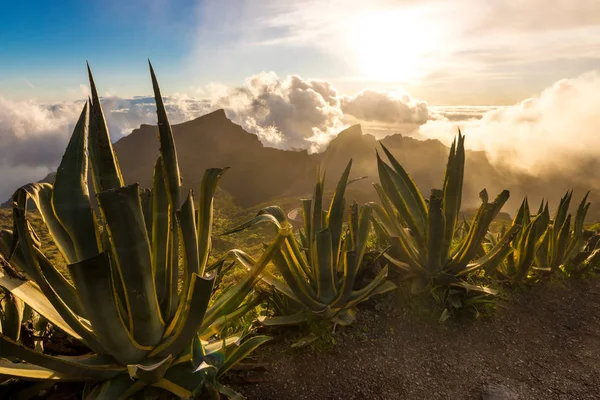 Incredibile vista sul tramonto canyon Maska nel parco rurale Teno sull'isola di Tenerife Spagna — Foto Stock