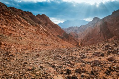 Sina Çölündeki Dağ Mısır
