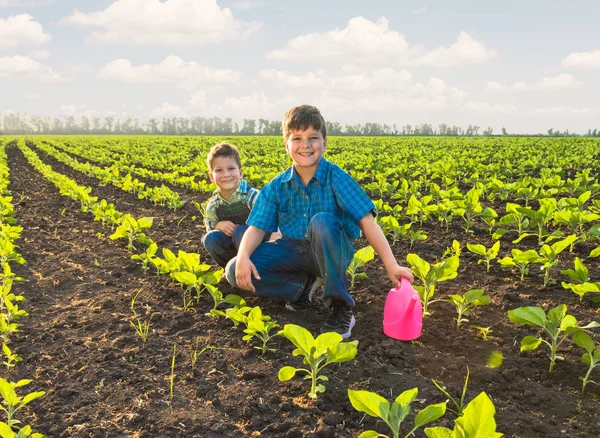 Happy small farmers in spring field — Stock Photo, Image