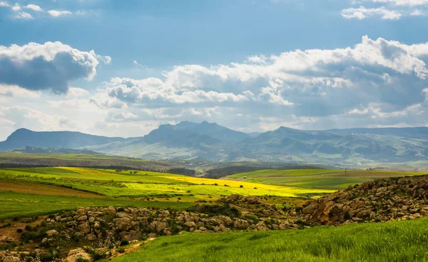 Panorama soliga gröna sluttningar av Ifrane vid Moyen Atlas, Marocko — Stockfoto