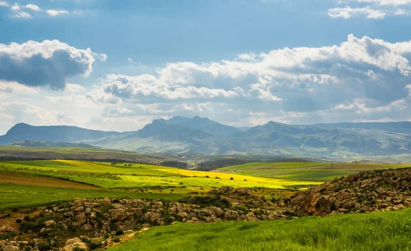 Panorama sunny green slopes of Ifrane at Moyen Atlas, Morocco Royalty Free Stock Photos