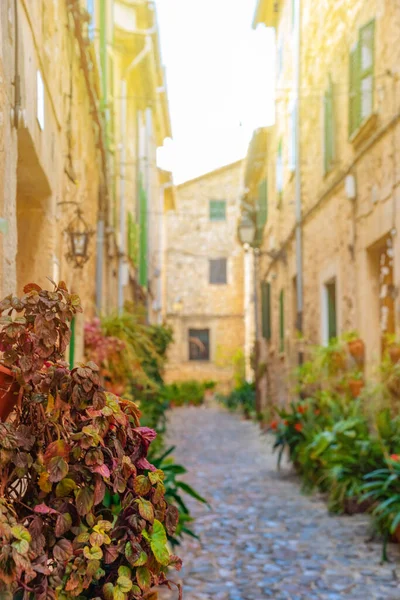 Valldemossa, beroemd oud mediterraan dorp van Mallorca eiland Mallorca, Spanje — Stockfoto