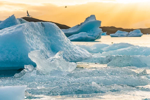 IJsbergen drijvend in Jokulsarlon gletsjermeer bij zonsondergang — Stockfoto