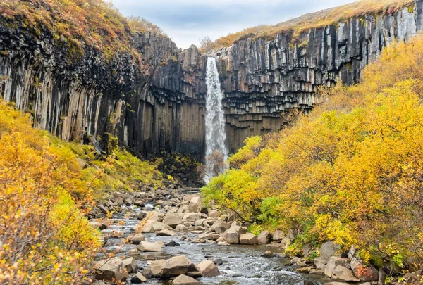 Svartifoss, berömda Black waterfall, Island Skaftafel nationalpark — Stockfoto