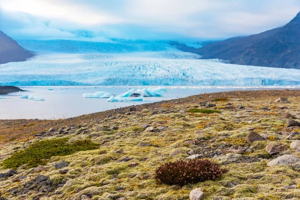 아이슬란드 의 피 갈론 빙하 석호에 있는 빙하와 빙산 — 스톡 사진