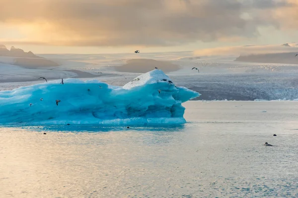 IJsbergen drijvend in Jokulsarlon gletsjermeer bij zonsondergang — Stockfoto