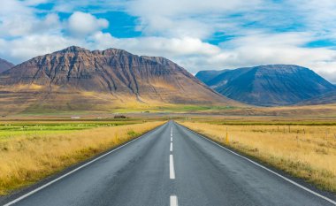 İzlanda yolu bulutlu ve boş arazili.