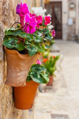 Güzel saksılar, İspanyol köyü Valldemossa, Mallorca renkli çiçekler