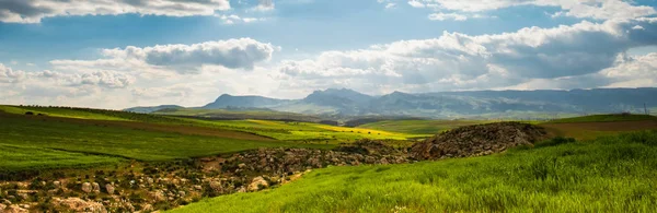 Panorama soliga gröna sluttningar av Ifrane vid Moyen Atlas, Marocko — Stockfoto