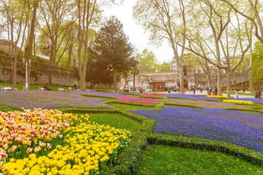 Yıllık Nisan lale festivali sırasında İstanbul, Gulhane Park 'ta renkli çiçek yatakları