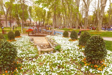Yıllık Nisan lale festivali sırasında İstanbul, Gulhane Park 'ta renkli çiçek yatakları