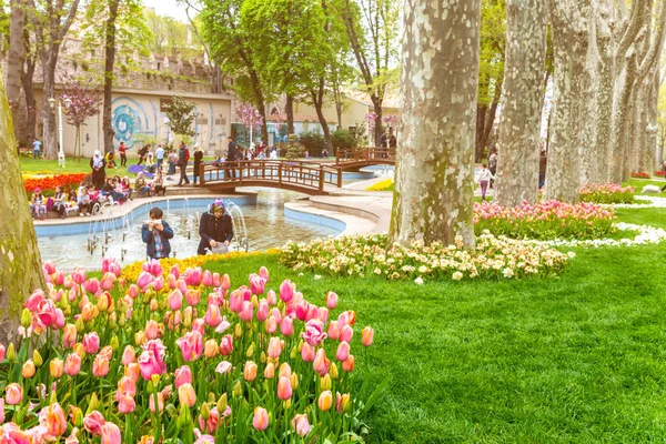 Colorful flower beds during annual April tulip festival in Istanbul in Gulhane Park, Turkey — Stock Photo, Image