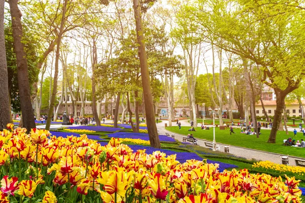 Coloridos macizos de flores durante el festival anual de tulipanes de abril en Estambul en Gulhane Park, Turquía —  Fotos de Stock