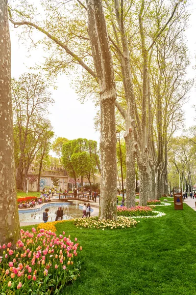 Colorful flower beds during annual April tulip festival in Istanbul in Gulhane Park, Turkey — Stock Photo, Image