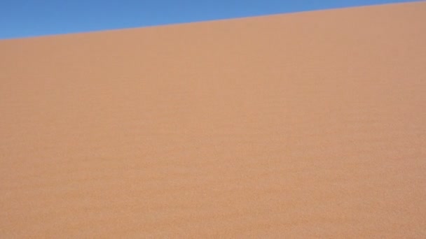pieds nus marchant à travers une dune de sable à midi 