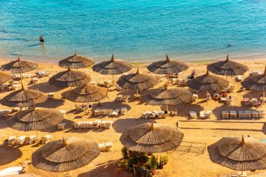 Havadan bakıldığında kızıl deniz plajı. Turistler şemsiye altında dinleniyor