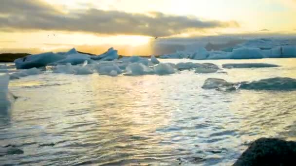 在冰岛的冰湖中漂浮的冰山Jokulsarlon冰川湖 — 图库视频影像