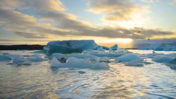 在冰岛的冰湖中漂浮的冰山Jokulsarlon冰川湖 — 图库视频影像