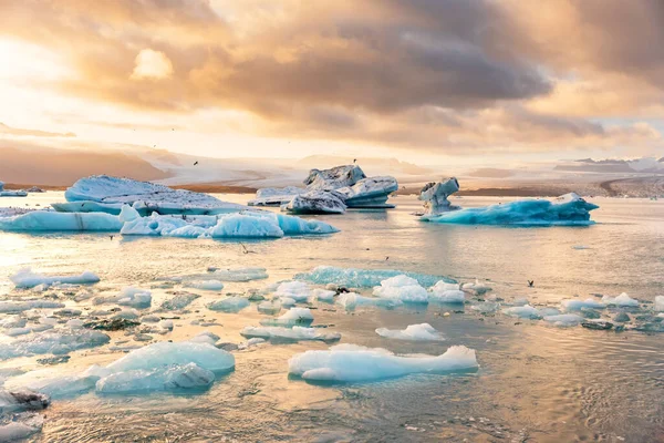 IJsbergen drijvend in Jokulsarlon gletsjermeer bij zonsondergang — Stockfoto