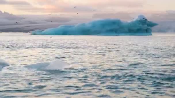 Isberg och säl flyter i Ice Lagoon Jokulsarlon Glacier Lagoon på Island — Stockvideo