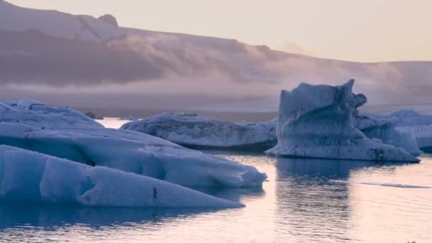 Eisberge und Seehunde treiben in der Eislagune Jokulsarlon Glacier Lagoon in Island — Stockvideo