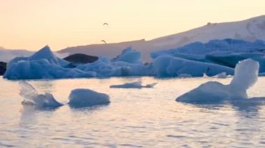 Buzdağları İzlanda 'da Jokulsarlon Buzul Gölü' nde yüzüyor.