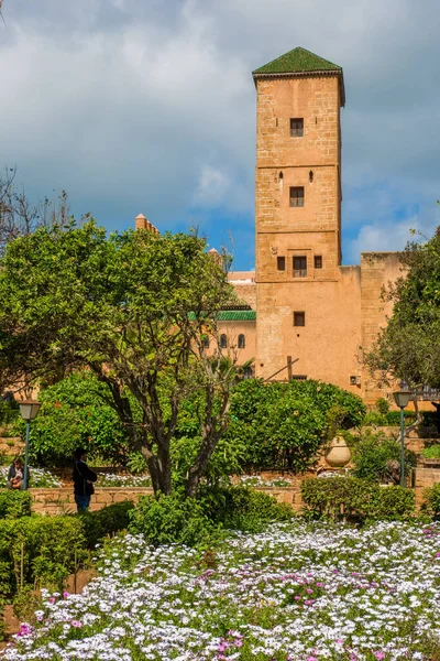 Grădini andaluze în Udayas kasbah Rabat Maroc Africa de Nord — Fotografie, imagine de stoc