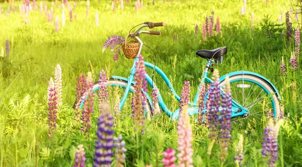 Vintage rower z koszem pełnym kwiatów stojących na polu — Zdjęcie stockowe
