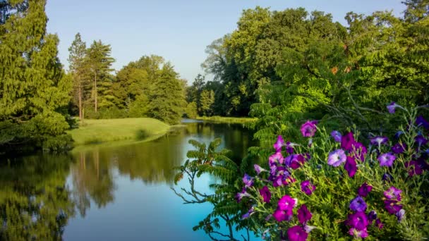 Kolorowa rzeka i kwietnik w ogrodzie — Wideo stockowe