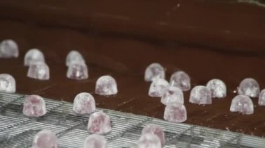 Çikolata üretimi, fabrika taşıyıcısı