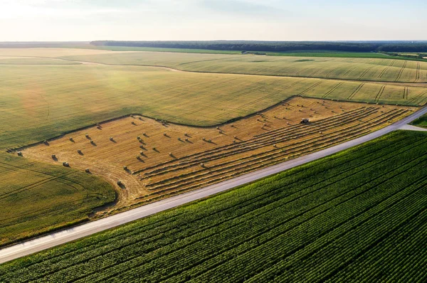 Vista aérea del paisaje rural en colores veraniegos con destello de lente suave —  Fotos de Stock