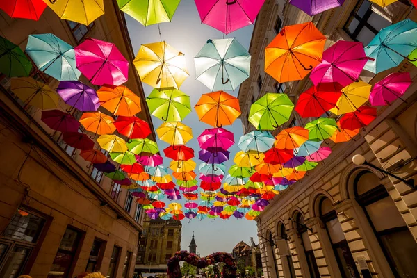 Guarda Chuvas Coloridos Pendurados Entre Edifícios Dias Festival Timisoara Roménia — Fotografia de Stock