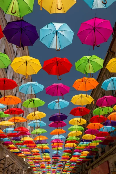 Colored umbrellas hanging between buildings, festival days in Timisoara, Romania