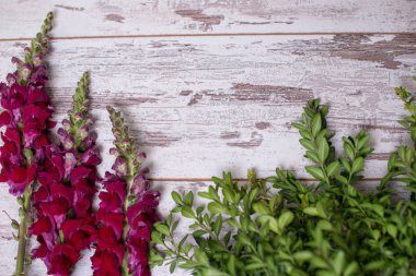 Ahşap arka plan üzerinde düzenlenmiş snapdragon çiçek buketi