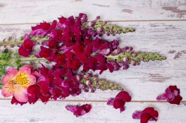 Ahşap arka plan üzerinde düzenlenmiş snapdragon çiçek buketi